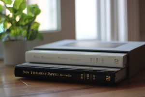 New Testament Papyri Facsimile Collection: P45, P46 and P47 - Image 2